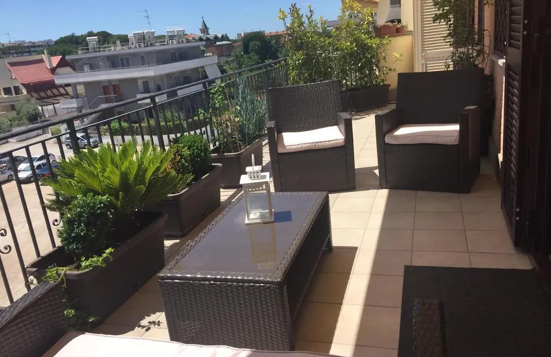 Aurelia House-1